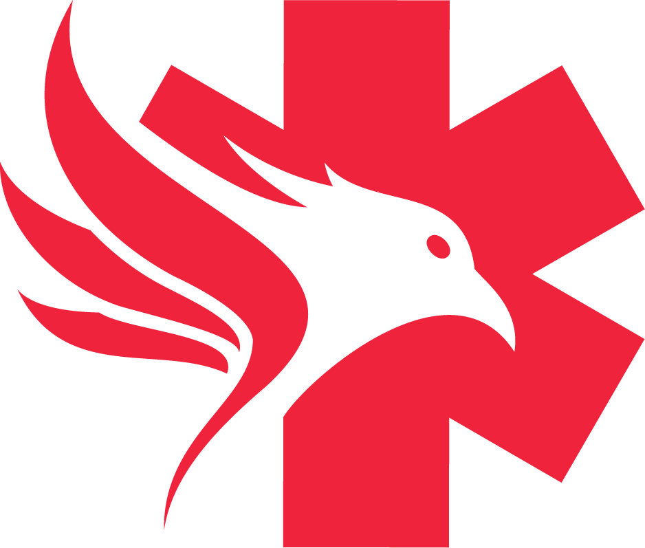 Phoenixx Enterprises logo mark for safety and security training in Columbus, OH